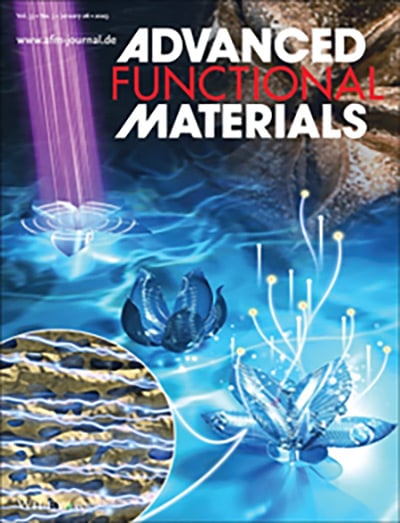 Advanced Functional Materials Cover